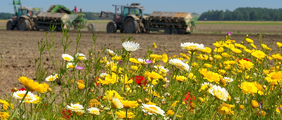 Landbouw / Shutterstock