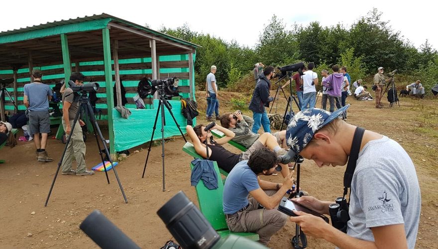 Birdwatch Telpost Batumi Georgie