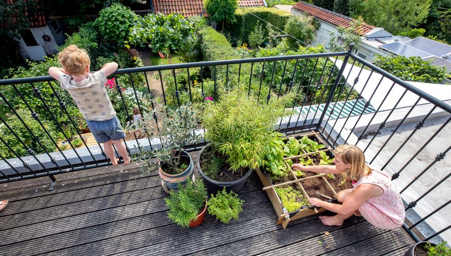 Balkon / Fred van Diem