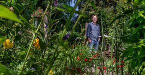 Peter Jonker / Fred van Diem