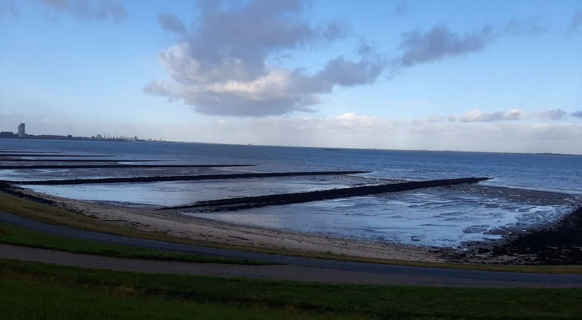 Telpost Margarethepolder / Bert van Broekhoeven