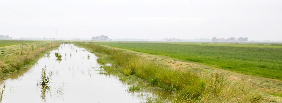 Bote de Boer / Fred van Diem