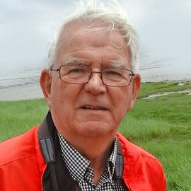 Wim de Wilde