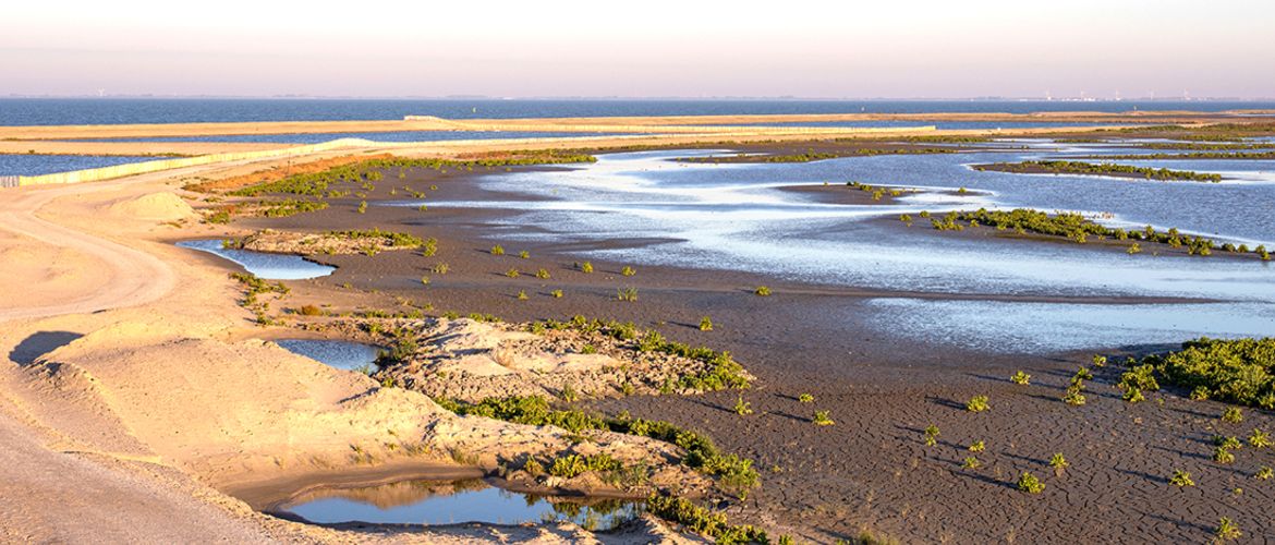 Marker Wadden / Shutterstock