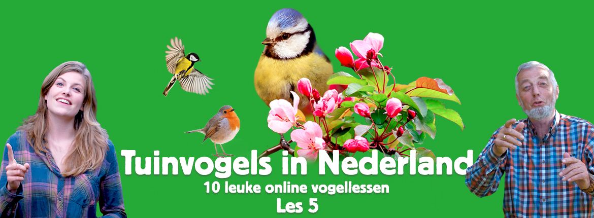 Header les 5 tuinvogelcursus