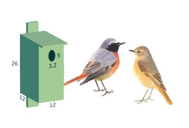 ik lees een boek Draaien Draad Zelf een nestkast maken | Vogelbescherming