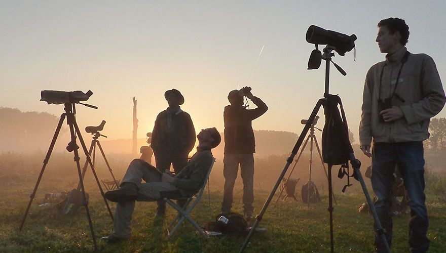 Telpost Birdwatch/ Hans van de Laar