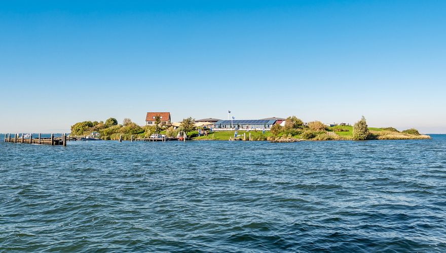 Pampus / Shutterstock