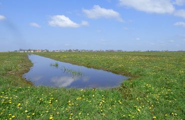 Polder / Ralph Smits