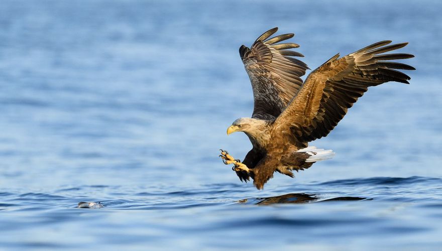 zeearend/ shutterstock