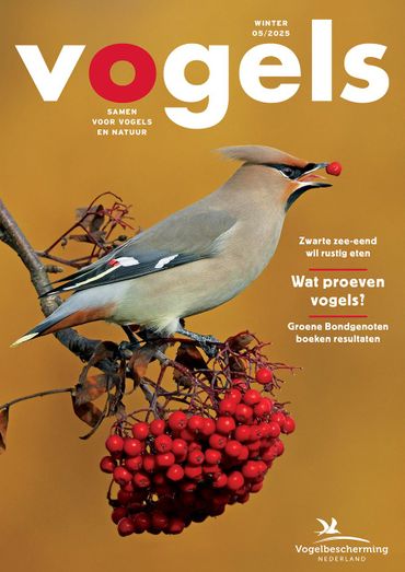 Cover Vogels 5/2025