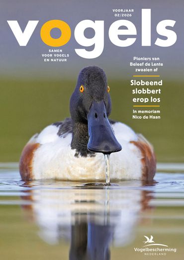 Cover Vogels 2, 2026