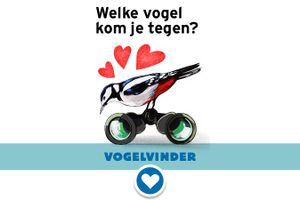 Vogelvinder