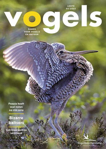 Cover Vogels 02/2022