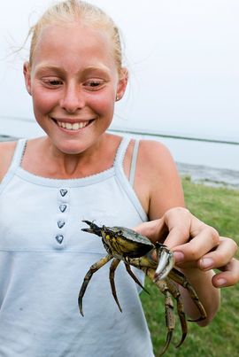 Kind krab strand / Janko van Beek