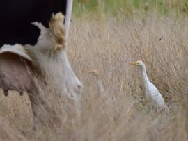 Hier valt wel wat te halen