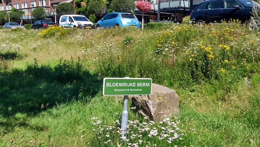 Bloemrijke berm