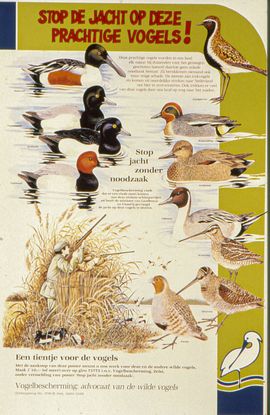Stop de Jacht bij Vogels zijn grenzenloos