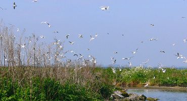 IJsselmeer / Hans Peeters