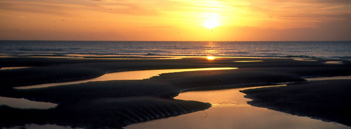 Waddenzee / Hans Peeters