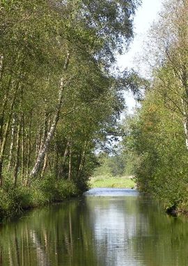 Basiskwaliteit natuur Overijssel