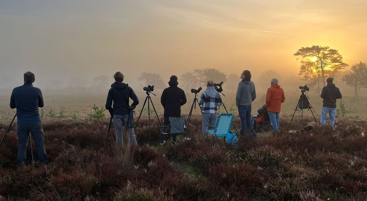 Telpost Leersumse Veld/ Sven Valkenburg