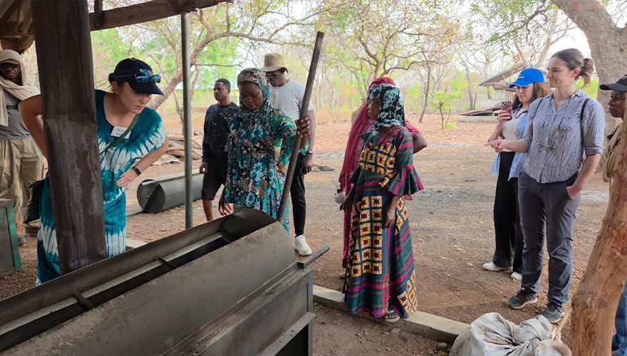 Birds, Bees, Business