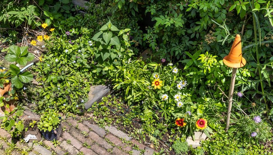 De tuin van Offra Duerink na het advies van een Tuinvogelconsulent / Fred van Diem