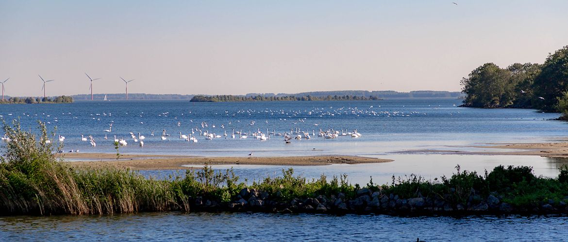 IJsselmeer / Shutterstock