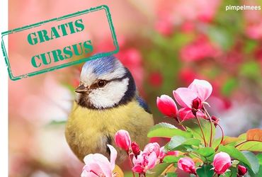 Gratis cursus tuinvogels in Nederland