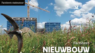 Download factsheet nieuwbouw