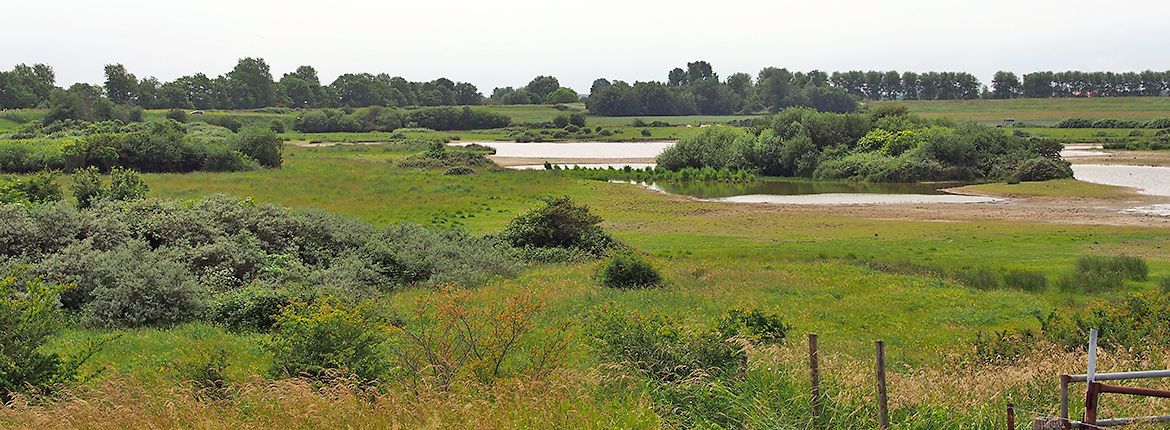 Grevelingen / Johan van Helleman