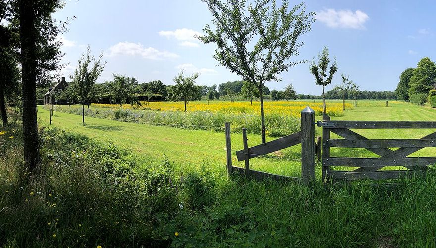 Erf / Marco Renes Brabants Landschap