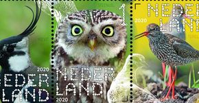 Postzegelvel boerenlandvogels