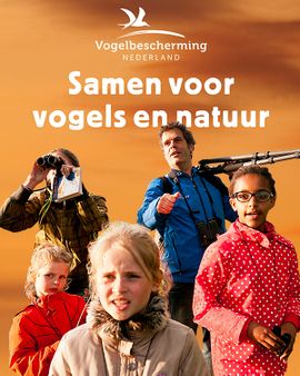 Medewerkers Vogelbescherming