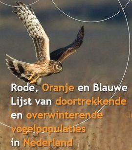 cover Rode Oranje Blauwe Lijst