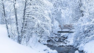 KLeinwalsertal winter / Hans Peeters