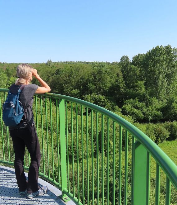 Horsterwolduitzicht vanaf de Tuurtoren en populieren / John Veron