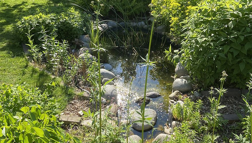 Vijver Beleef de Lente / Miranda Engels