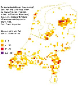 Verspreidingskaartje zomertortel Nederland