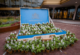 nietzondernatuur koffer met plantjes