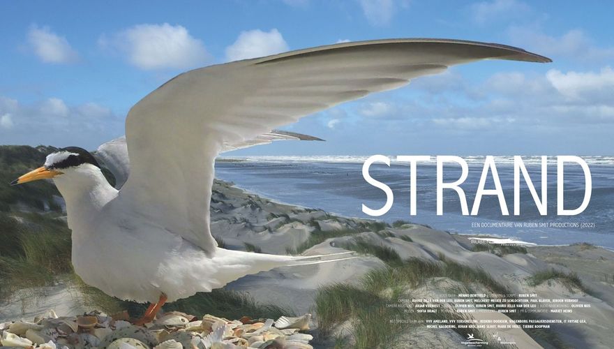 Poster documentaire Strand