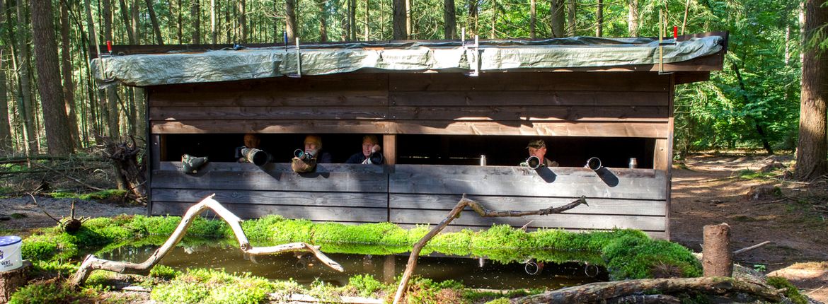 Fotohut Hoge Veluwe / Hans Peeters