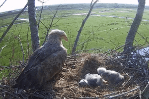 Videostill beleef de lente