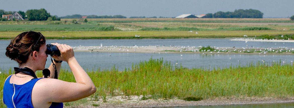 Texel Utopia / Hans Peeters