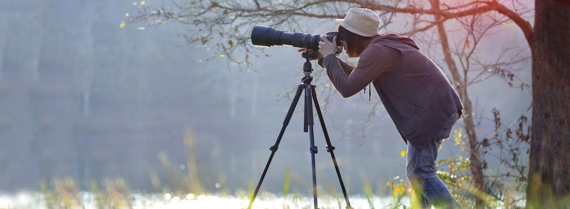 Vogels kijken / Shutterstock