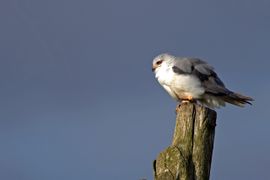 Hoog bezoek in Drenthe