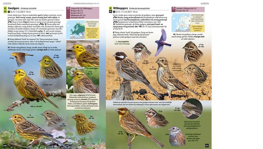 Vogels van Europa gorzen