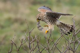 Een kwestie van evenwicht