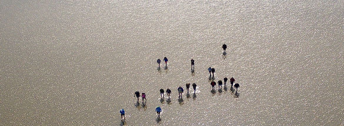 Wadlopers